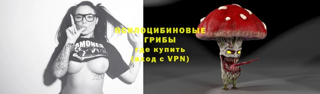 spice Волосово