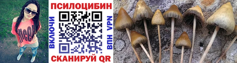 Галлюциногенные грибы Psilocybine cubensis  Купить закладки  Алапаевск 